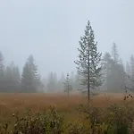 Traditionale Norwegian Mountain Passebekk Skrim Karibu No Water Connection Kongsberg