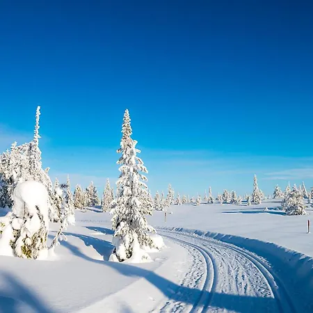 Holiday home Traditionale Norwegian Mountain Passebekk Skrim Karibu No Water Connection *