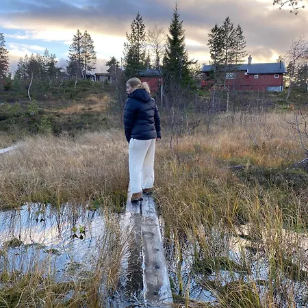 Traditionale Norwegian Mountain Passebekk Skrim Karibu No Water Connection *